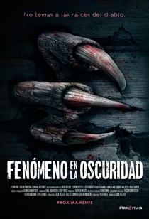 Fenómeno En La Oscuridad