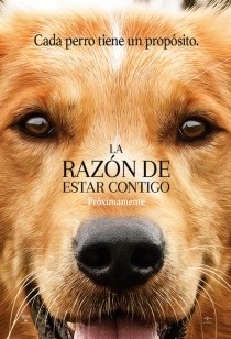 La Razón de estar Contigo