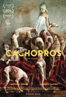 Cachorros