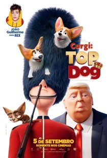 Corgi: Top Dog