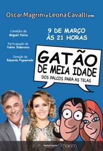 Gato de Meia-idade