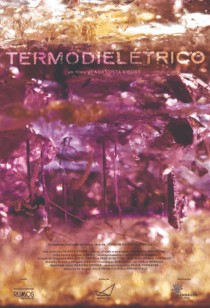 Termodielétrico