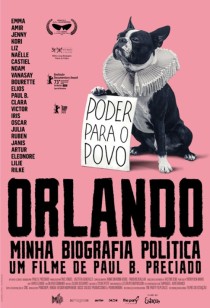 Orlando, Minha Biografia Política