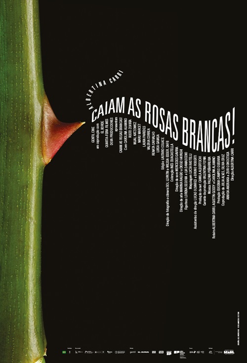 Caiam as Rosas Brancas