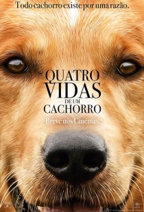 Quatro Vidas de um Cachorro